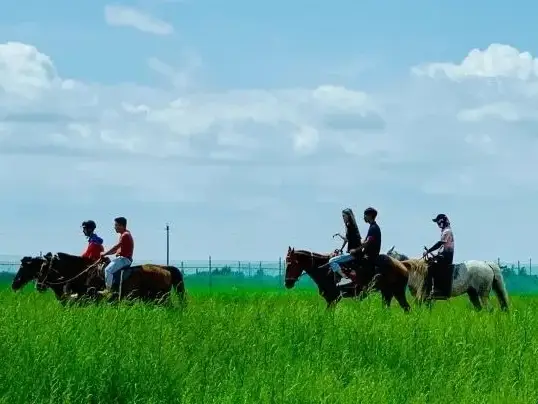 https://nephele.ctrip.com/target/0100k12000hrw7c049779_W_10000_1200.png?proc=autoorient