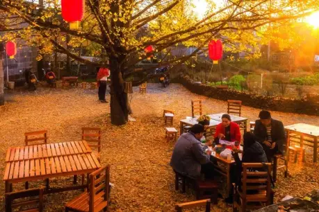 https://nephele.ctrip.com/target/0102912000hmy72m32A78_W_10000_1200.png?proc=autoorient