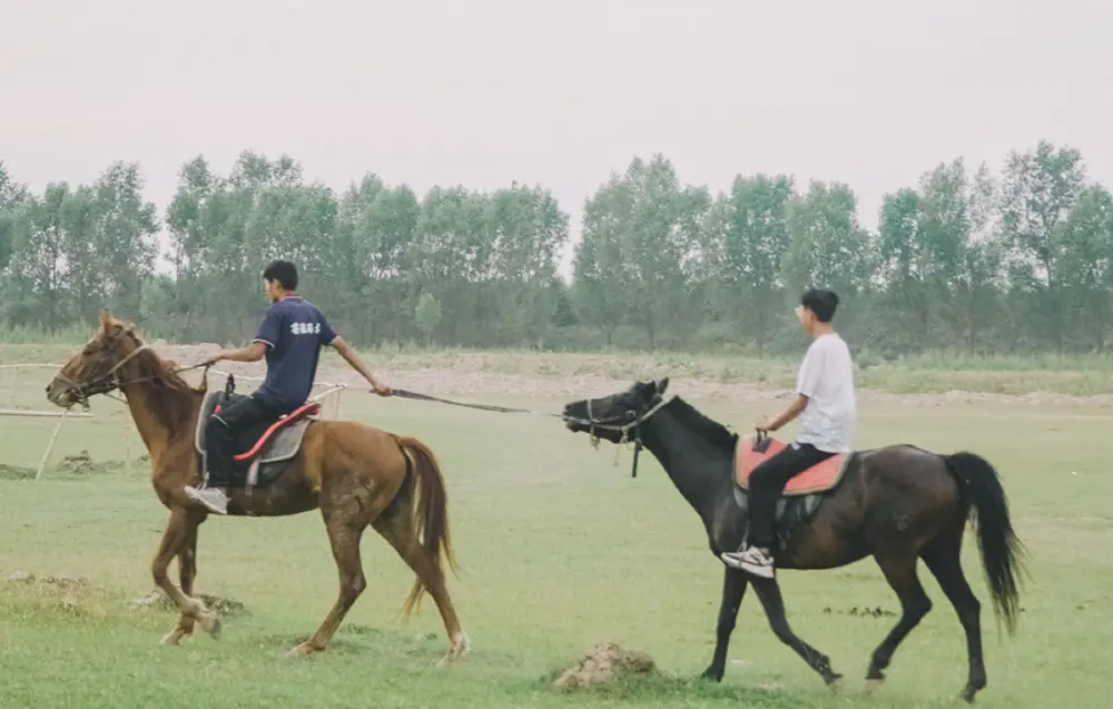 https://nephele.ctrip.com/target/0103512000hrx5n3oB5DE_W_10000_1200.png?proc=autoorient