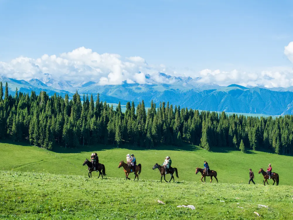 https://nephele.ctrip.com/target/0105w12000fq4ysenEACF_W_10000_1200.jpg?proc=autoorient