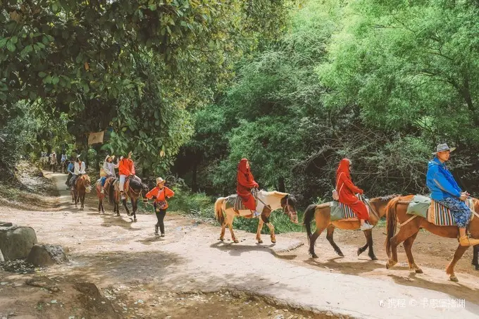 https://nephele.ctrip.com/target/01A221200092vr9h84A6B_W_10000_1200.jpg?proc=autoorient