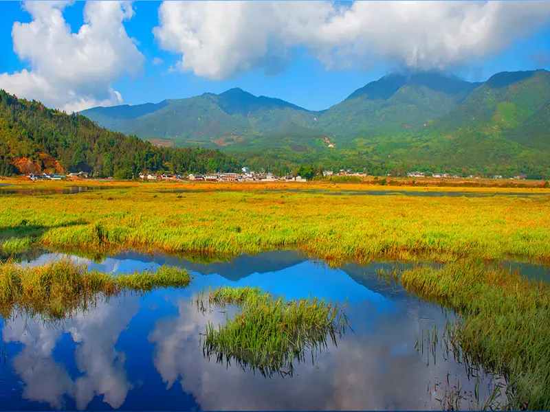 https://nephele.ctrip.com/target/100f1g000001hcvcf118D_W_10000_1200.jpg?proc=autoorient