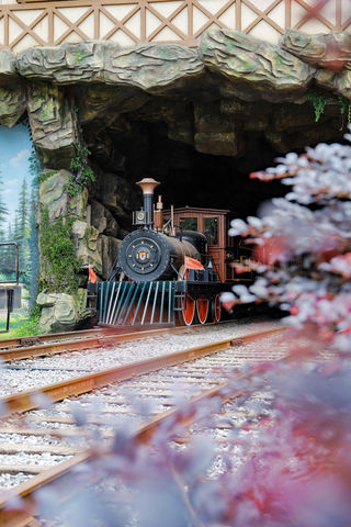 浪漫春日,在寻甸凤龙湾世界童话镇,体验不一般的奇境之旅!