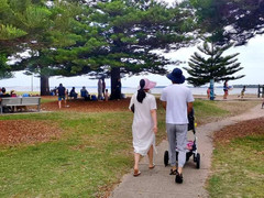 悉尼游记图片] 漫步悉尼罗宾逊夫人海滩