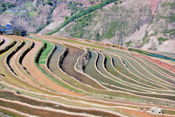 米易傈僳梯田