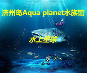 西归浦市游记图文-济州岛Aqua planet水族馆（水上星球）