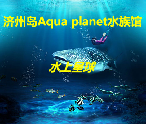 济州岛Aqua planet水族馆(水上星球)
