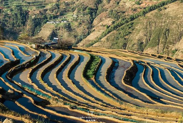 连绵的梯田 傈僳梯田