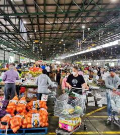 悉尼游记图文-带你逛逛疫情下的Sydney Market悉尼果蔬批发市场